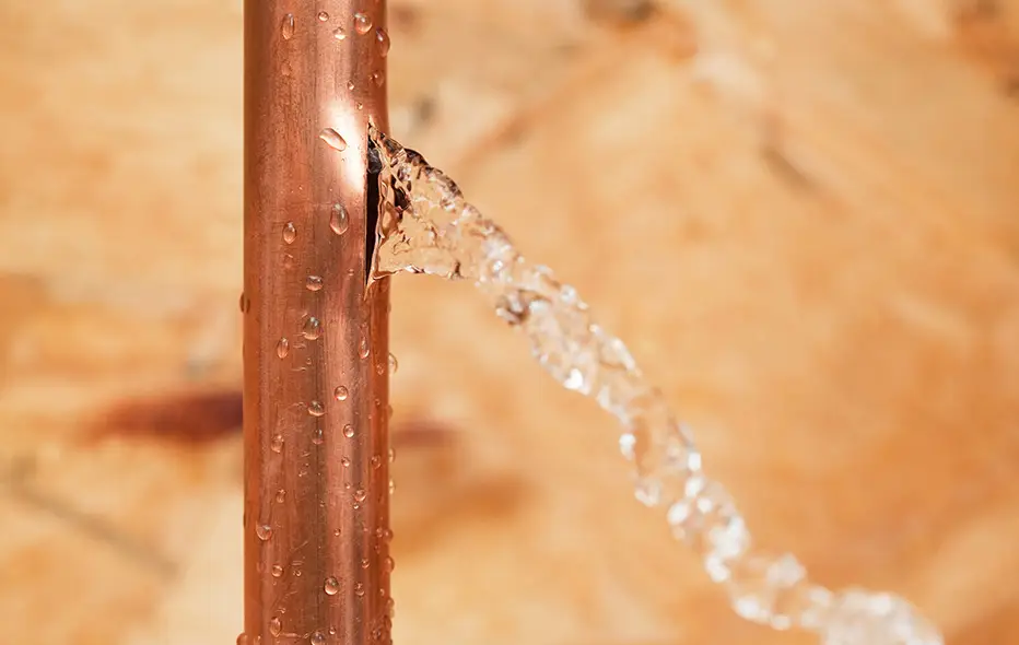 Plumbing pipe in need of repair